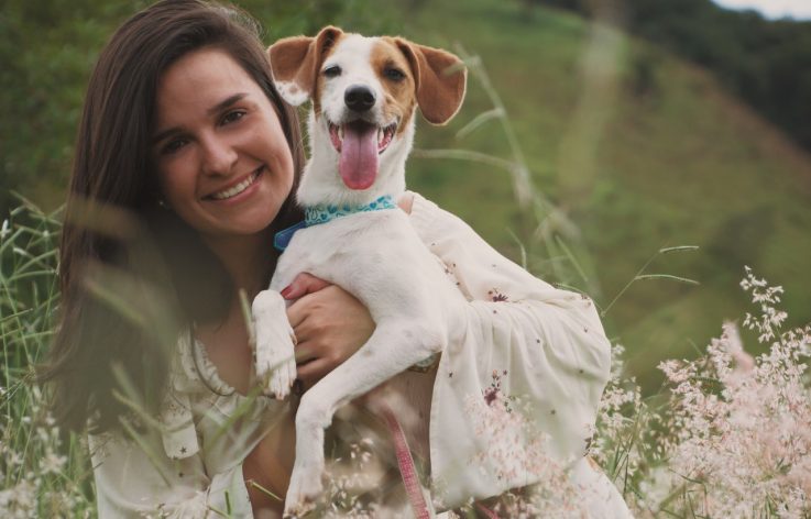 private-pet-transport-2